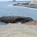 Casa Rita La Caleta De Arico شقة *